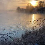 Appartement Murner See-lodge *